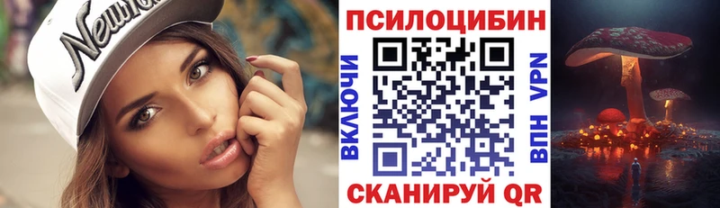 Псилоцибиновые грибы Cubensis где можно купить Североуральск