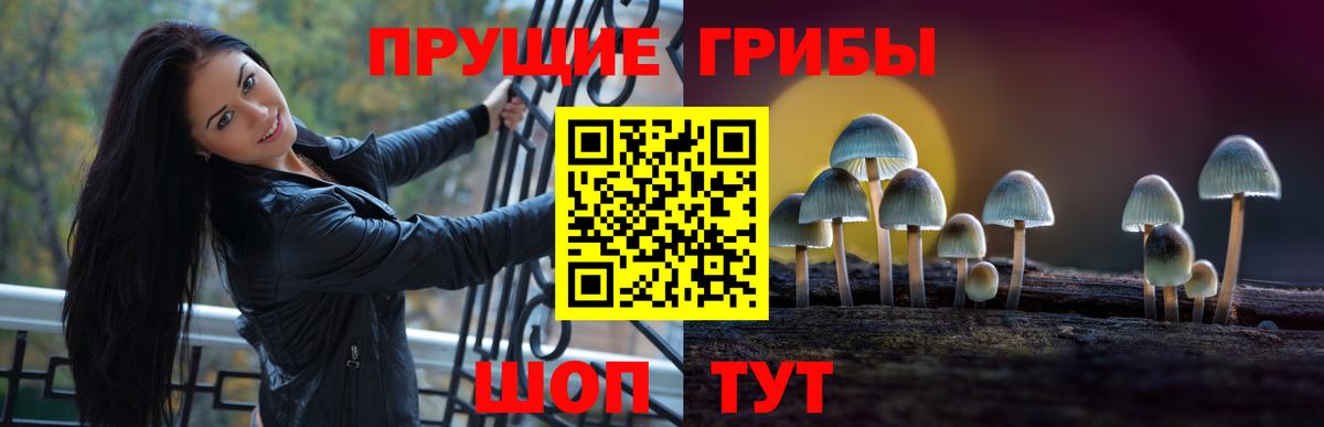 Североуральск  Псилоцибиновые грибы MAGIC MUSHROOMS  Вход с VPN 